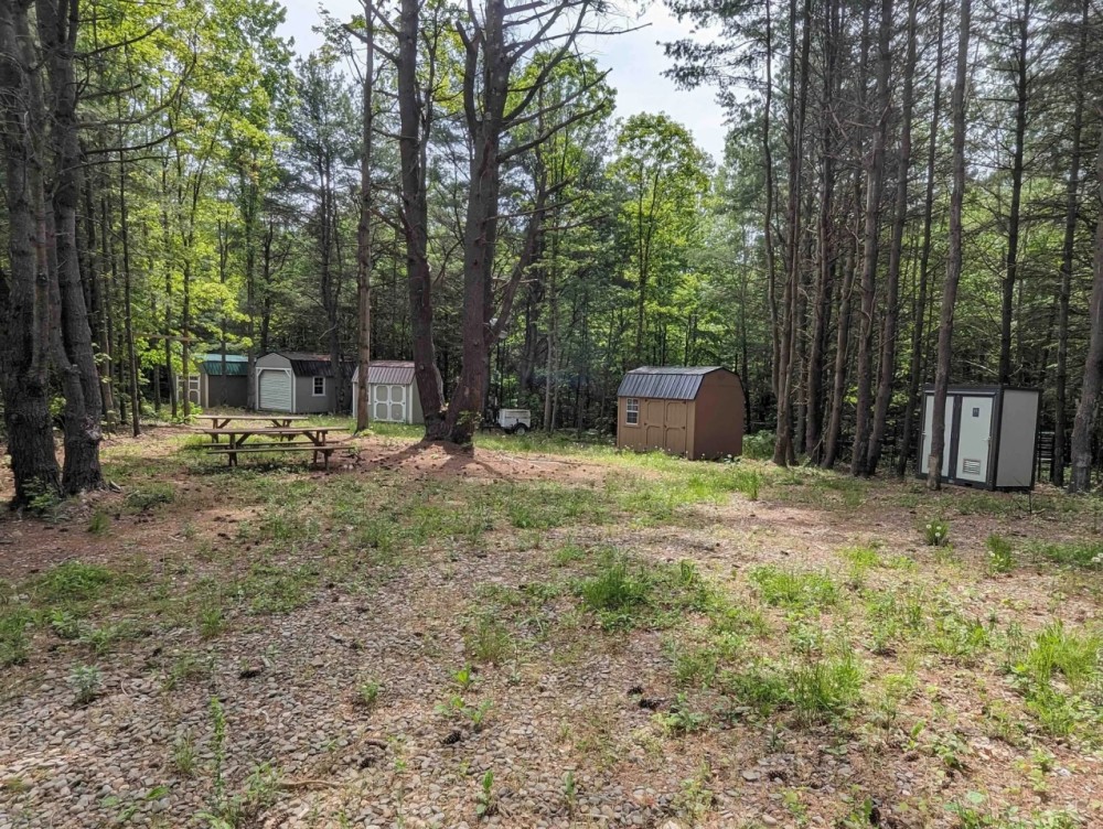 16 acres Recreational Retreat with Cabins and Pond in Woodhull NY Black Ash Rd featured image