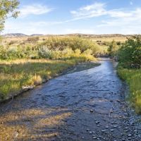 Deep Creek Wildlife Sanctuary