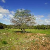 Private Hill Country Ranch in Gated Ranch Community images 3