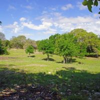 Private Hill Country Ranch in Gated Ranch Community images 5