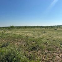 Price Improvement 10.5 Acres Tract 12 Shackelford County images 3