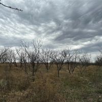 Price Improvement 10.5 Acres Tract 12 Shackelford County images 5
