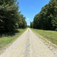 41 Little Red River Deer Ground
