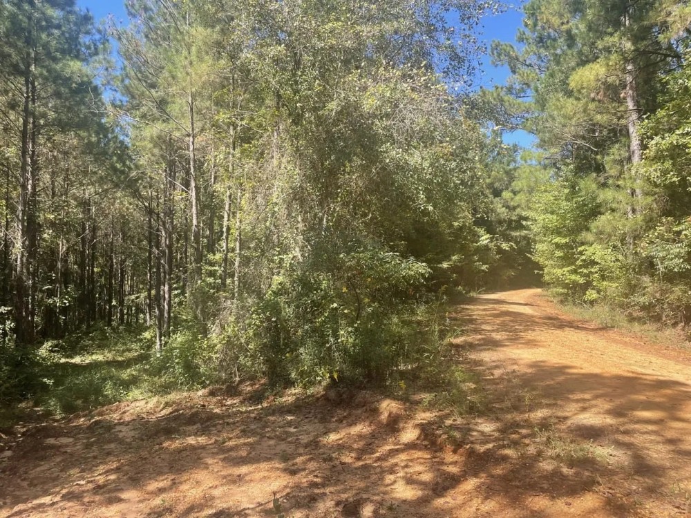 50 - acres Perry County AL featured image