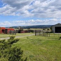 Noon Bear Ranch images 4