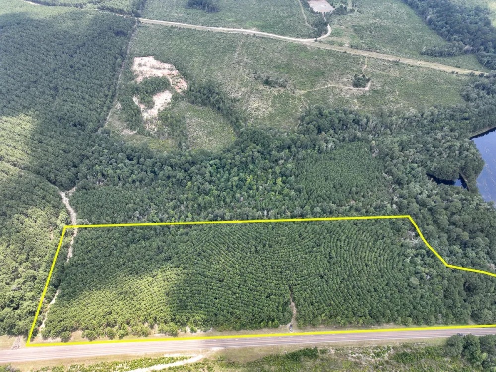 18 Acres T-6 Rec Road 255 287008-009 featured image