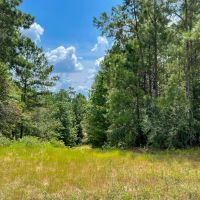 18 Acres T-6 Rec Road 255 287008-009 images 2