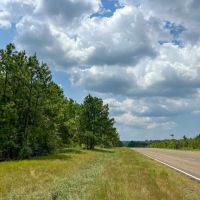 18 Acres T-6 Rec Road 255 287008-009 images 3