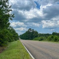 18 Acres T-6 Rec Road 255 287008-009 images 4