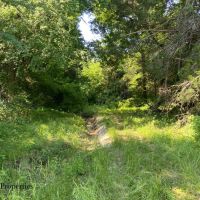 Sandy Creek Ranch Tract 1 images 2