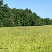 Sandy Creek Ranch Tract 1 images 3