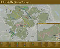 Belleplain State Forest 21,254 acres deer hunting land in Woodbine, NJ