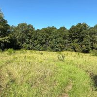 21.40 Acres in Amite County MS