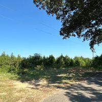21.40 Acres in Amite County MS images 2