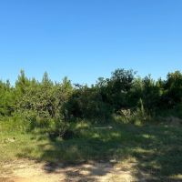21.40 Acres in Amite County MS images 3