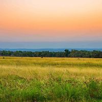 Kendall County Peaceful Habitations Ranch N of Boerne images 5