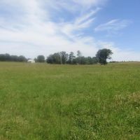 Prime Lick Creek Recreational Hunting Tract Choctaw County OK 11 AC