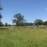 Prime Lick Creek Recreational Hunting Tract Choctaw County OK 11 AC images 2
