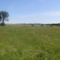 Prime Lick Creek Recreational Hunting Tract Choctaw County OK 11 AC images 3