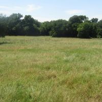 Prime Lick Creek Recreational Hunting Tract Choctaw County OK 11 AC images 4