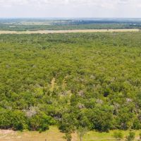 10 Acres in Milam County - Tract 12