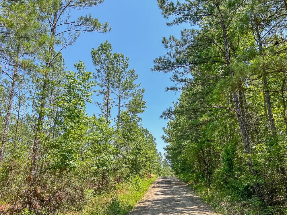 37 Acres CR 364 T-4 featured image
