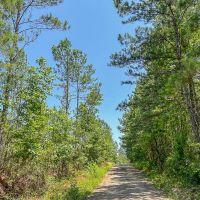 37 Acres CR 364 T-4