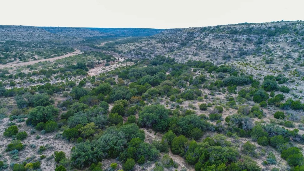 W.O. Mills Ranch featured image