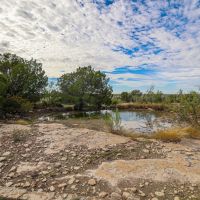 W.O. Mills Ranch images 2