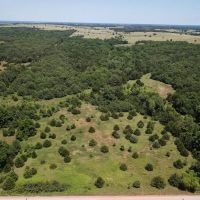 8-1 Orozco images 2