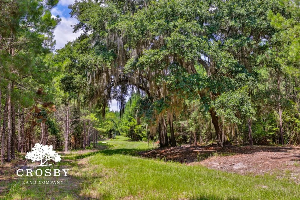 Old Chelsea West Plantation featured image