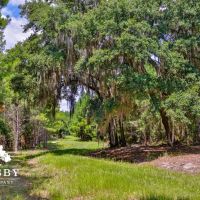 Old Chelsea West Plantation