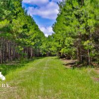 Old Chelsea West Plantation images 3