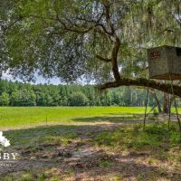 Old Chelsea West Plantation images 5