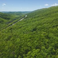 Serenity Unleashed Embrace Nature s Bounty in East Tennessee s Hidden Gem