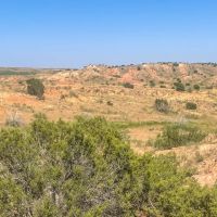 Carter Ranch
