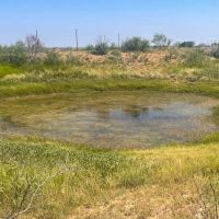 Carter Ranch images 4
