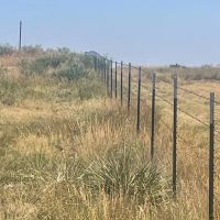 Carter Ranch images 5