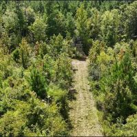 54 Acres in Leake County in Carthage MS