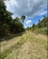 54 Acres in Leake County in Carthage MS images 3