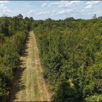 54 Acres in Leake County in Carthage MS images 5