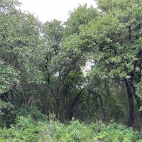 New Listing 22 - Acres Comanche County images 3