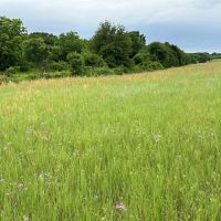 New Listing 22 - Acres Comanche County images 4