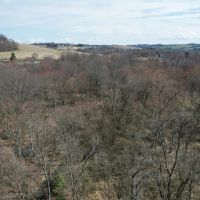Monessen Street Fayette County - 30 - acres images 4