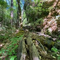Little Butte Creek Hideaway images 3