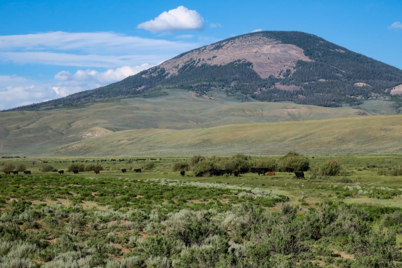 Hot Springs Creek Ranch Hunting Land for Sale