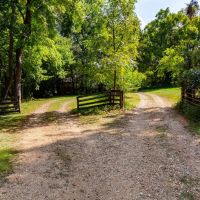 155 - Acres 3 Houses Creek Pond Pastures Woods Randolph County Pocahontas Arkansas images 3