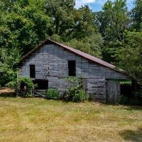 155 - Acres 3 Houses Creek Pond Pastures Woods Randolph County Pocahontas Arkansas images 5