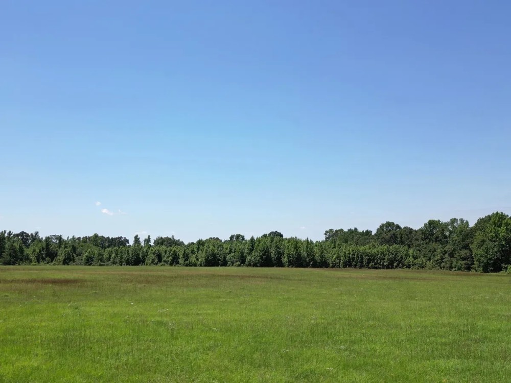 40.33 Acres Undeveloped Land De Kalb TX Bowie County featured image