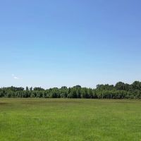 40.33 Acres Undeveloped Land De Kalb TX Bowie County